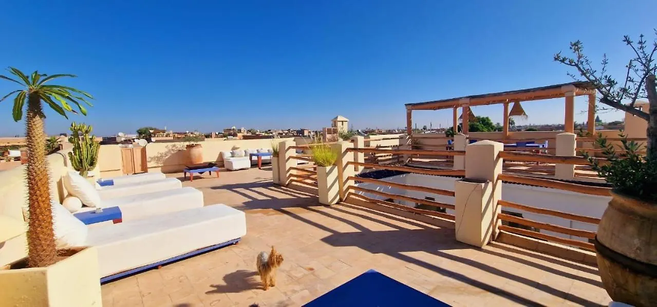 Riad De Vincent Marakeş