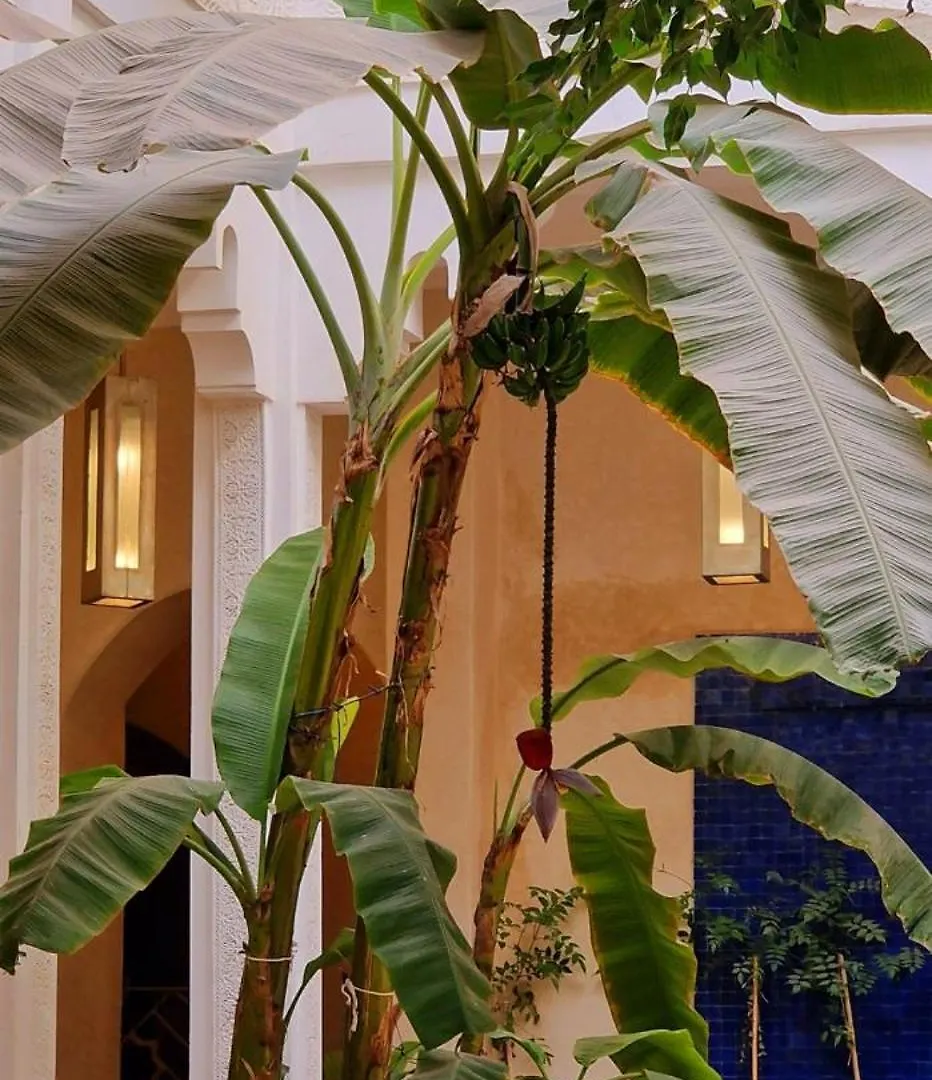 Riad De Vincent 马拉喀什